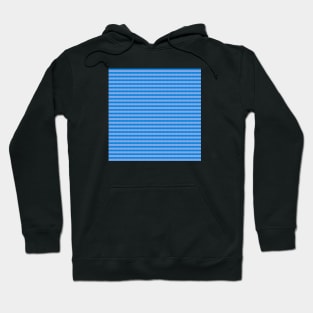 Blue Stripes Hoodie